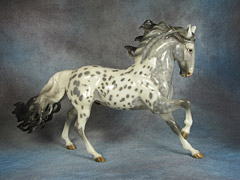 Lot 11 - Glossy Star Dapple Grey Semi-leopard Appaloosa Andalusian Designed by Sheryl Leisure