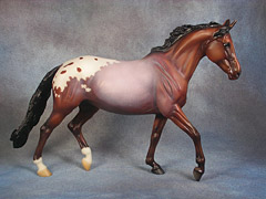 Lot 15 - Bay Roan Appaloosa Warmblood Mare